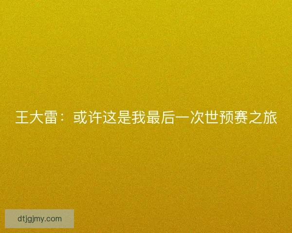 王大雷:或许这是我最后一次世预赛之旅 王大雷:或许这是我最后一次世预赛之旅