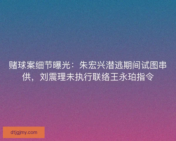 赌球案细节曝光：朱宏兴潜逃期间试图串供，刘震理未执行联络王永珀指令