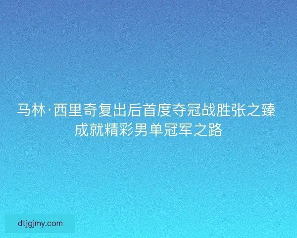 马林·西里奇复出后首度夺冠战胜张之臻 成就精彩男单冠军之路