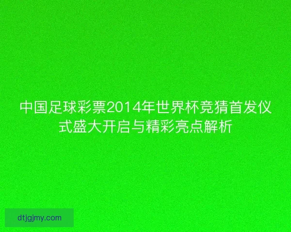 中国足球彩票2014年世界杯竞猜首发仪式盛大开启与精彩亮点解析